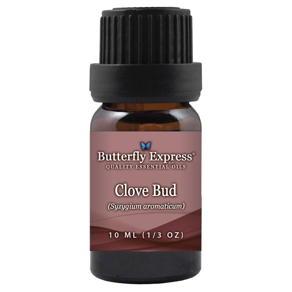 Clove Bud Essential Oil  <h6>Syzygium aromaticum</h6>