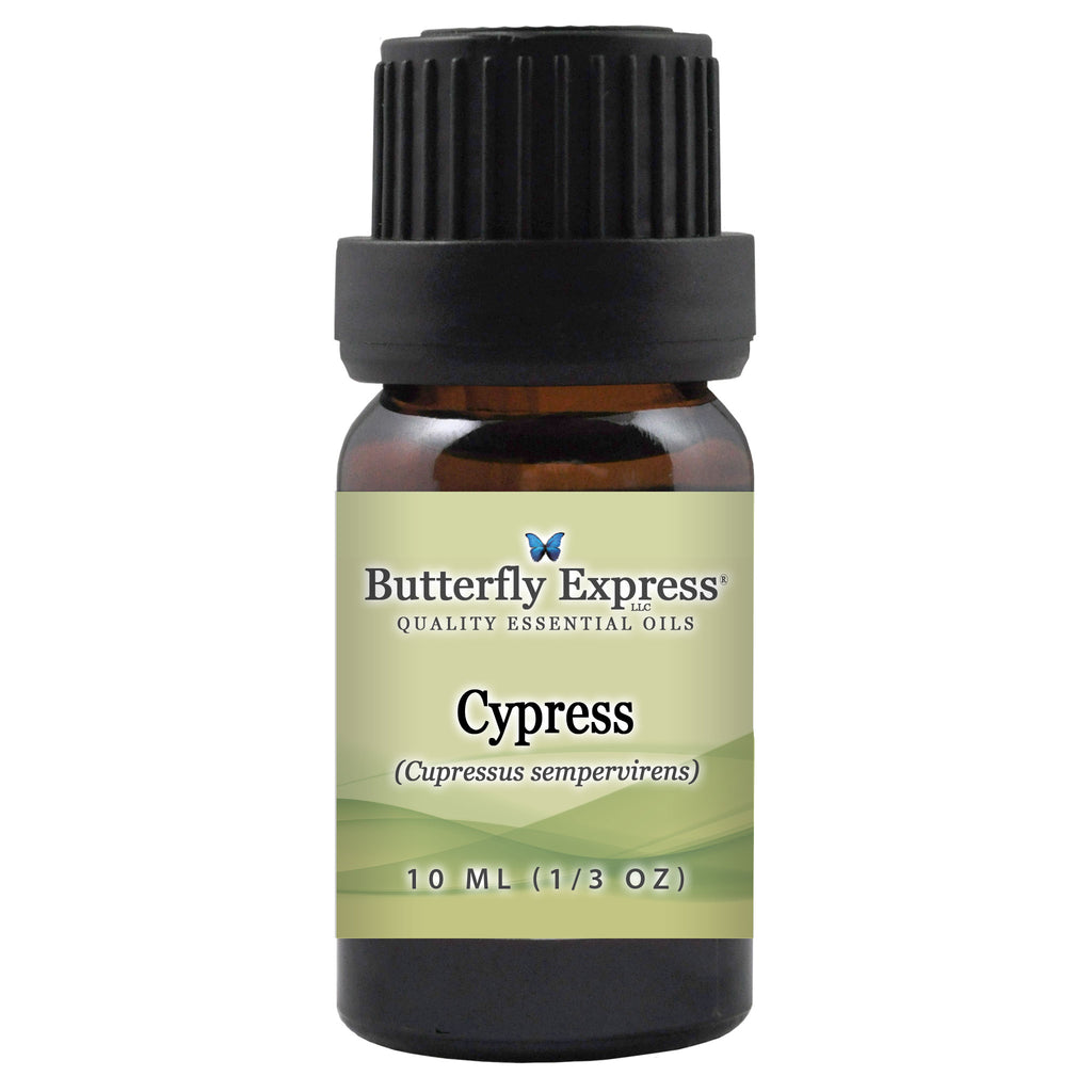 Cypress Sempervirens Essential Oil  <h6>Cupressus sempervirens</h6>