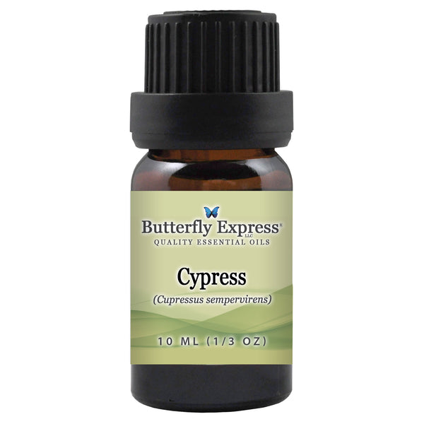 Cypress Sempervirens Essential Oil Wholesale  <h6>Cupressus sempervirens</h6>