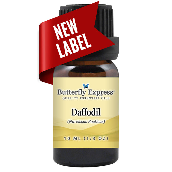 Daffodil Essential Oil Wholesale  <h6>Narcissus poeticus</h6>