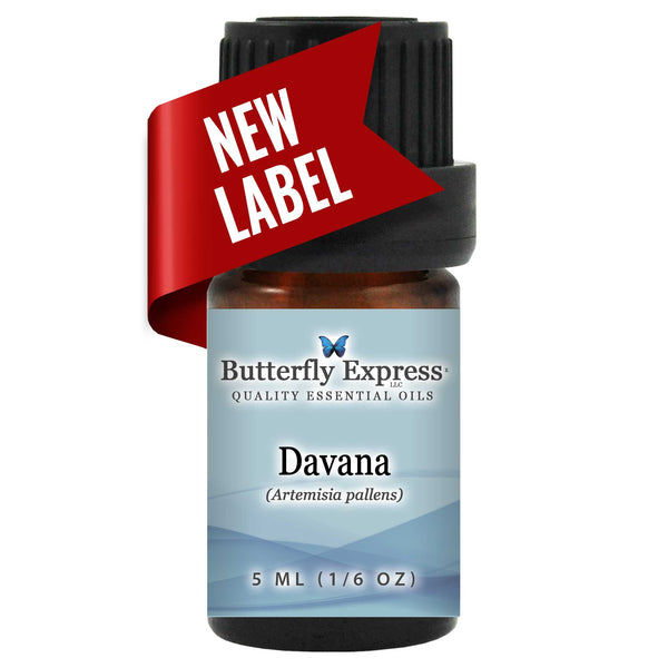 Davana Essential Oil  <h6>Artemisia pallens</h6>