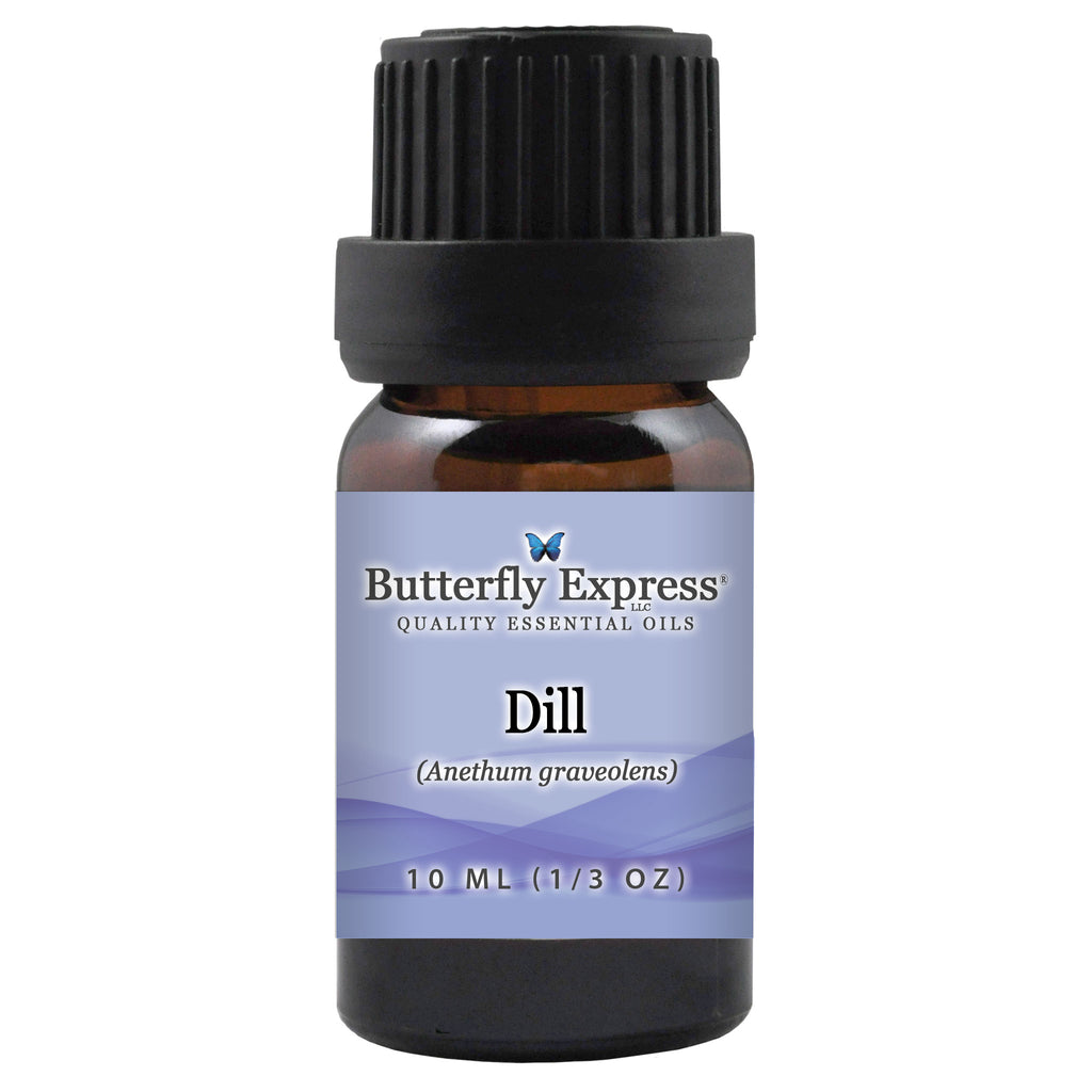 Dill Essential Oil  <h6>Anethum graveolens</h6>