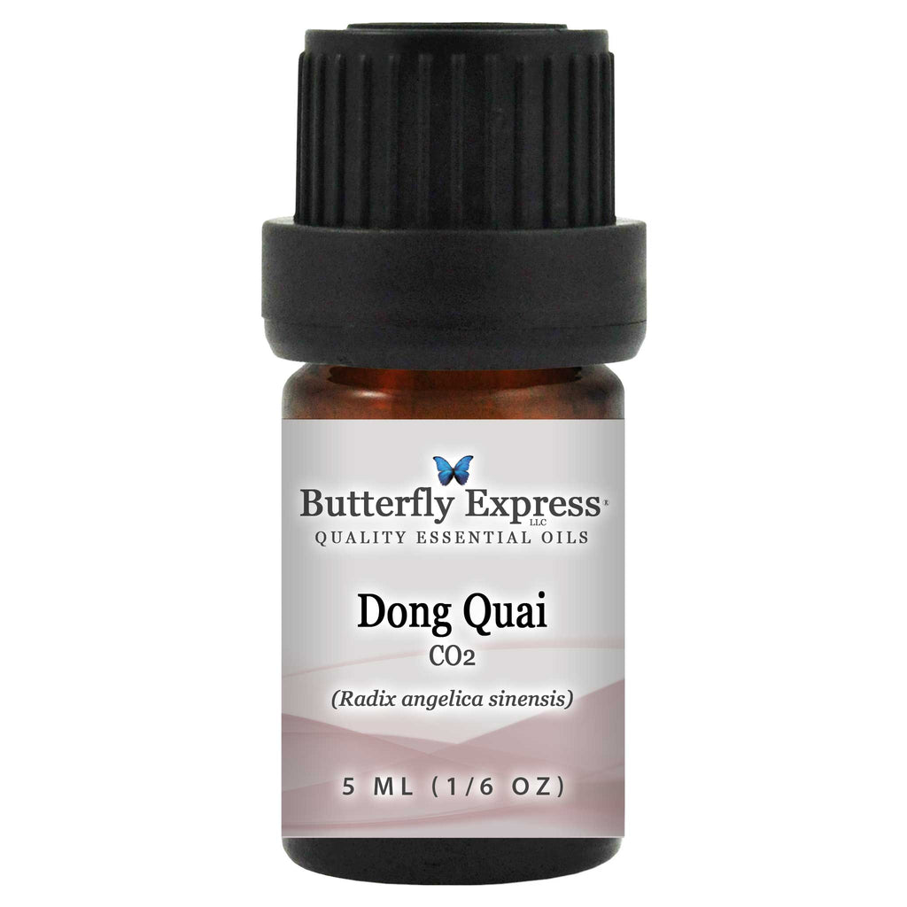 Dong Quai CO2 Essential Oil  <h6>Radix angelica sinensis</h6>