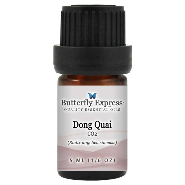 Dong Quai CO2 Essential Oil Wholesale  <h6>Radix angelica sinensis</h6>