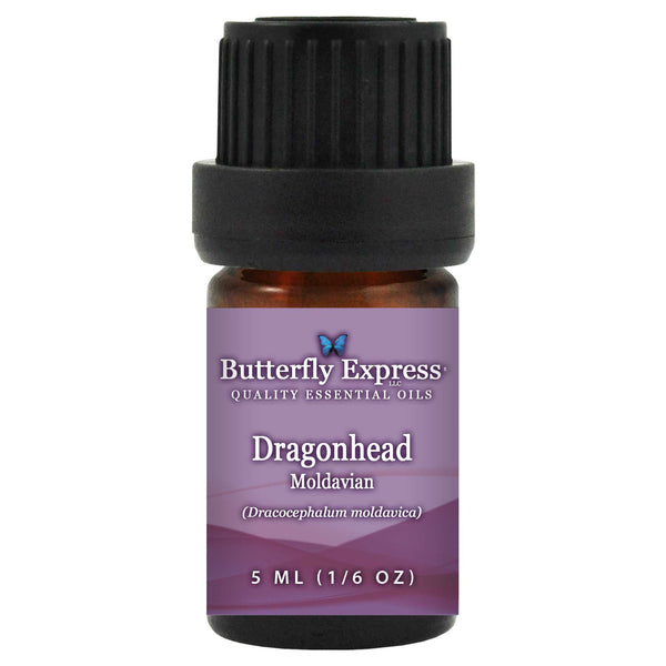 Dragonhead Essential Oil Wholesale  <h6>Dracocephalum moldavica</h6>