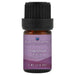 Dragonhead Essential Oil  <h6>Dracocephalum moldavica</h6>