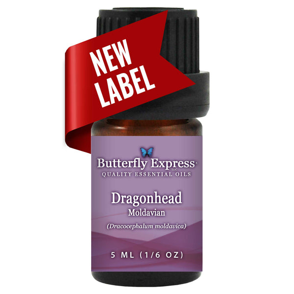Dragonhead Essential Oil  <h6>Dracocephalum moldavica</h6>