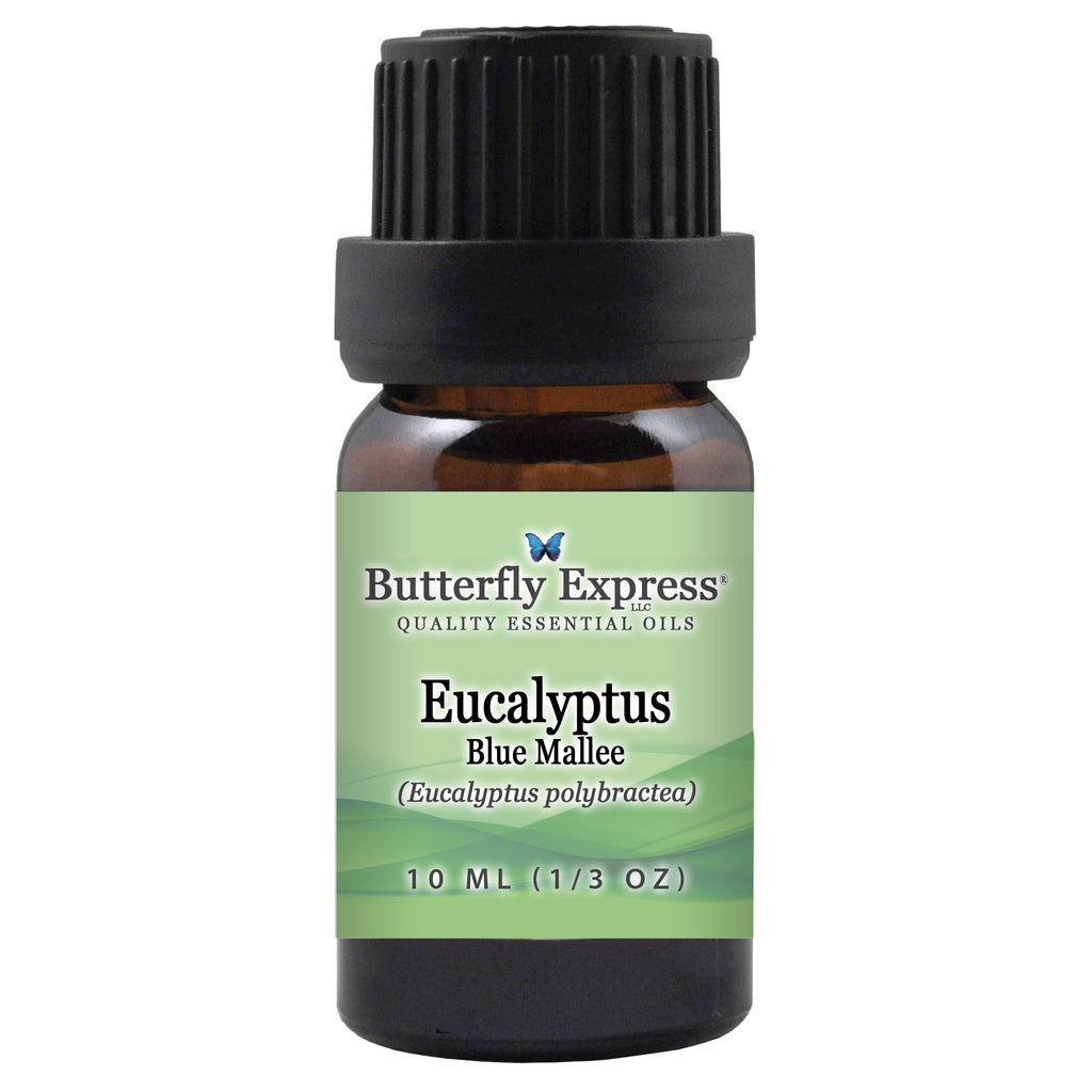 Eucalyptus Blue Mallee Essential Oil  <h6>Eucalyptus polybractea</h6>