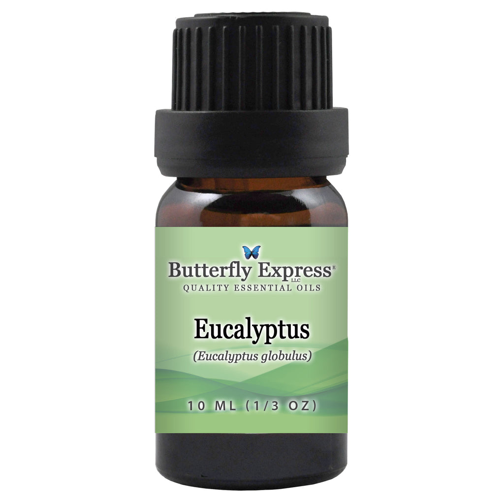 Eucalyptus Globulus Essential Oil  <h6>Eucalyptus globulus</h6>