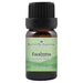 Eucalyptus Globulus Essential Oil  <h6>Eucalyptus globulus</h6>