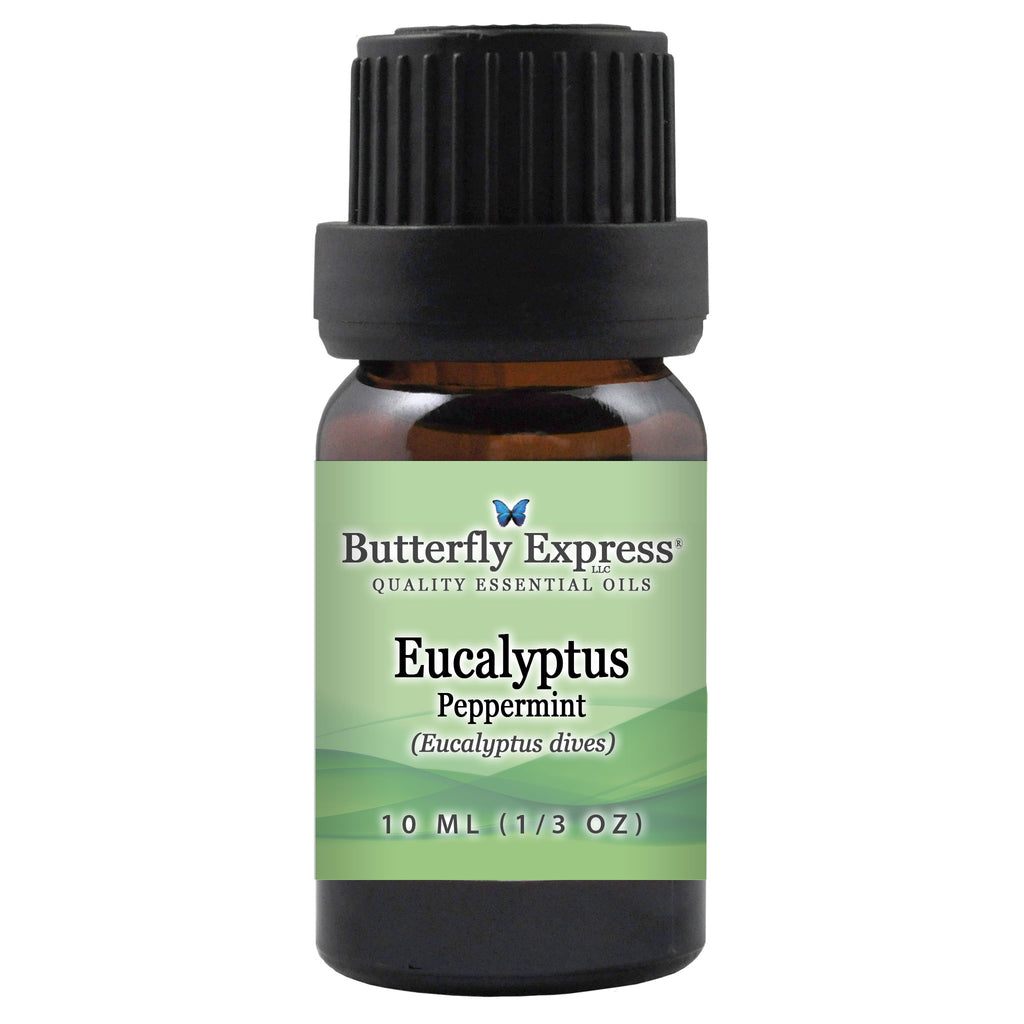 Eucalyptus Peppermint Essential Oil  <h6>Eucalyptus dives</h6>