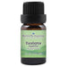 Eucalyptus Peppermint Essential Oil  <h6>Eucalyptus dives</h6>