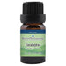 Eucalyptus Radiata Organic Essential Oil  <h6>Eucalyptus radiata</h6>