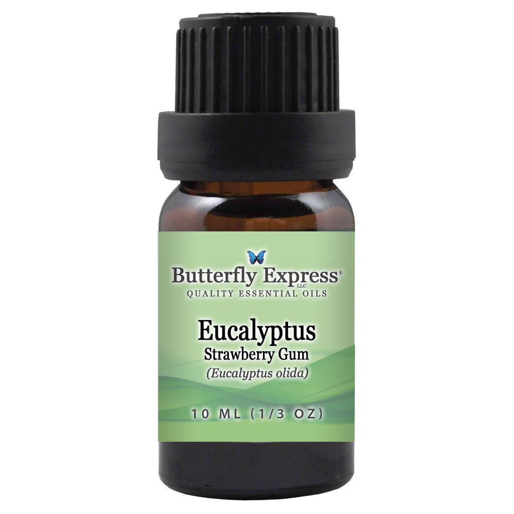 Eucalyptus Strawberry Gum Essential Oil  <h6>Eucalyptus olida</h6>