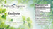 Eucalyptus Tincture  <h6>Eucalyptus globulus</h6>