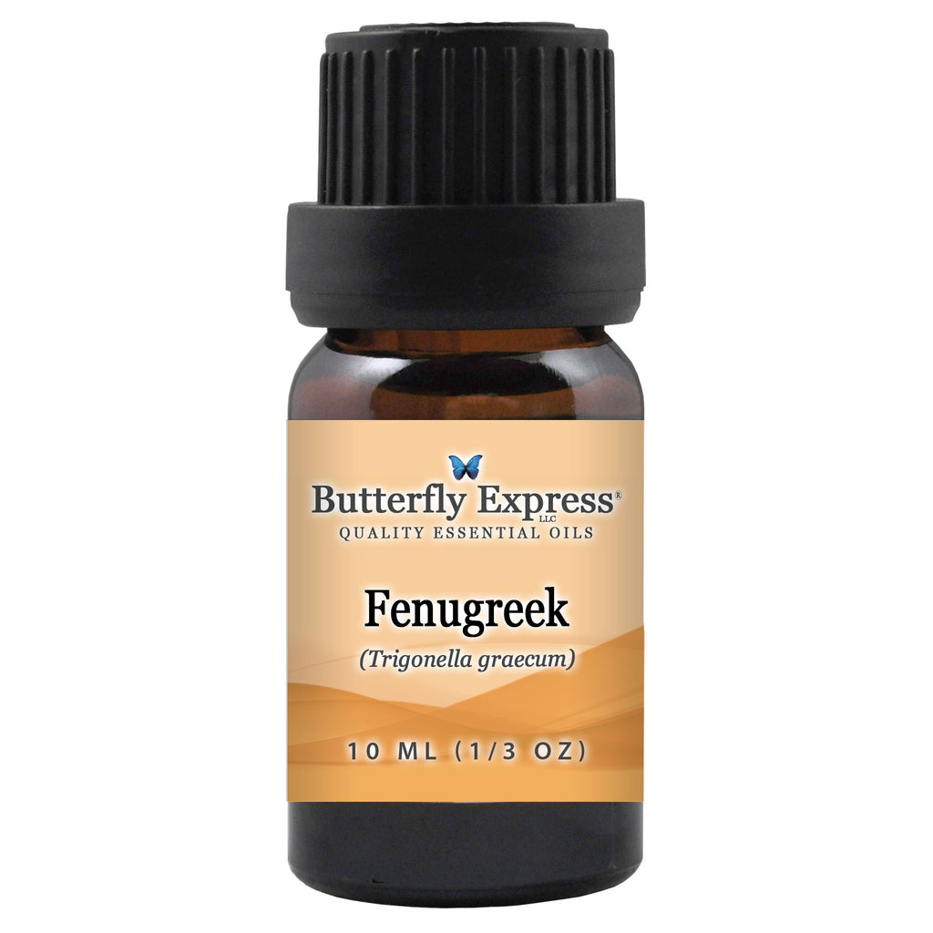 Fenugreek Essential Oil  <h6>Trigonella graecum</h6>