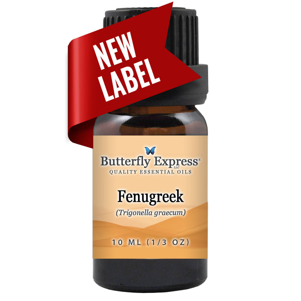 Fenugreek Essential Oil Wholesale  <h6>Trigonella graecum</h6>