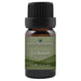 Fir Balsam Essential Oil  <h6>Abies balsamea</h6>