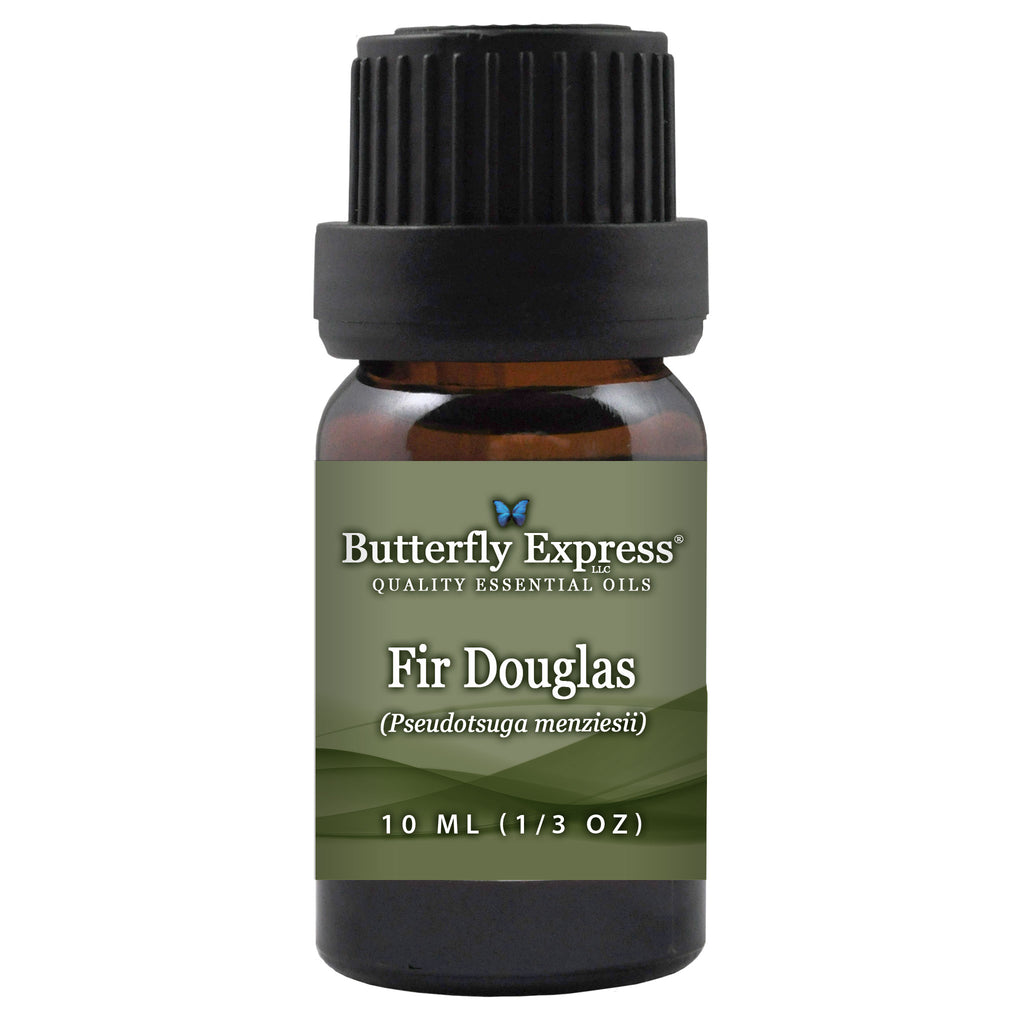 Fir Douglas Essential Oil  <h6>Pseudotsuga menziesii</h6>