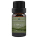 Fir Douglas Essential Oil  <h6>Pseudotsuga menziesii</h6>
