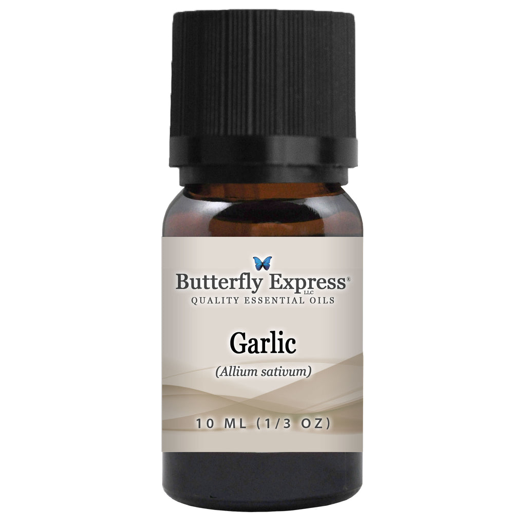 Garlic Essential Oil  <h6>Allium sativum</h6>