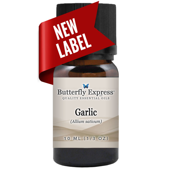 Garlic Essential Oil  <h6>Allium sativum</h6>
