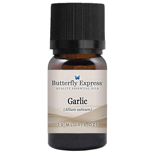 Garlic Essential Oil Wholesale  <h6>Allium sativum</h6>