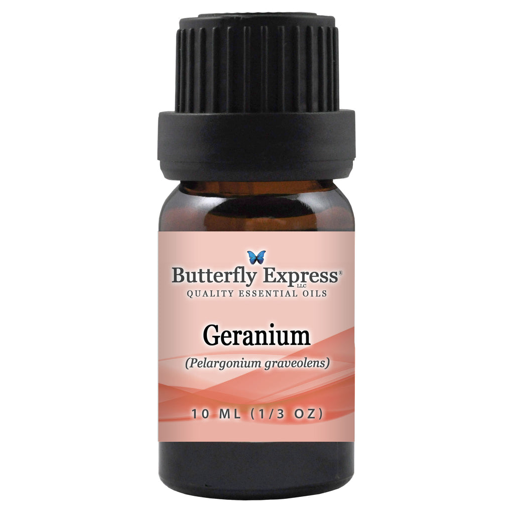 Geranium Essential Oil  <h6>Pelargonium graveolens</h6>