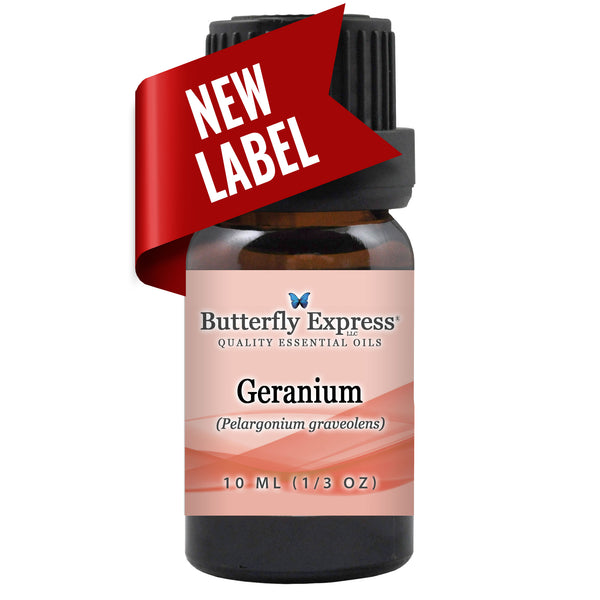 Geranium Essential Oil  <h6>Pelargonium graveolens</h6>