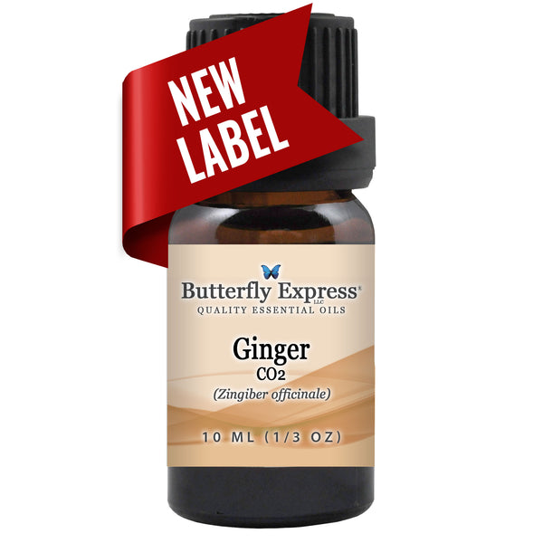 Ginger CO2 Essential Oil  <h6>Zingiber officinale</h6>