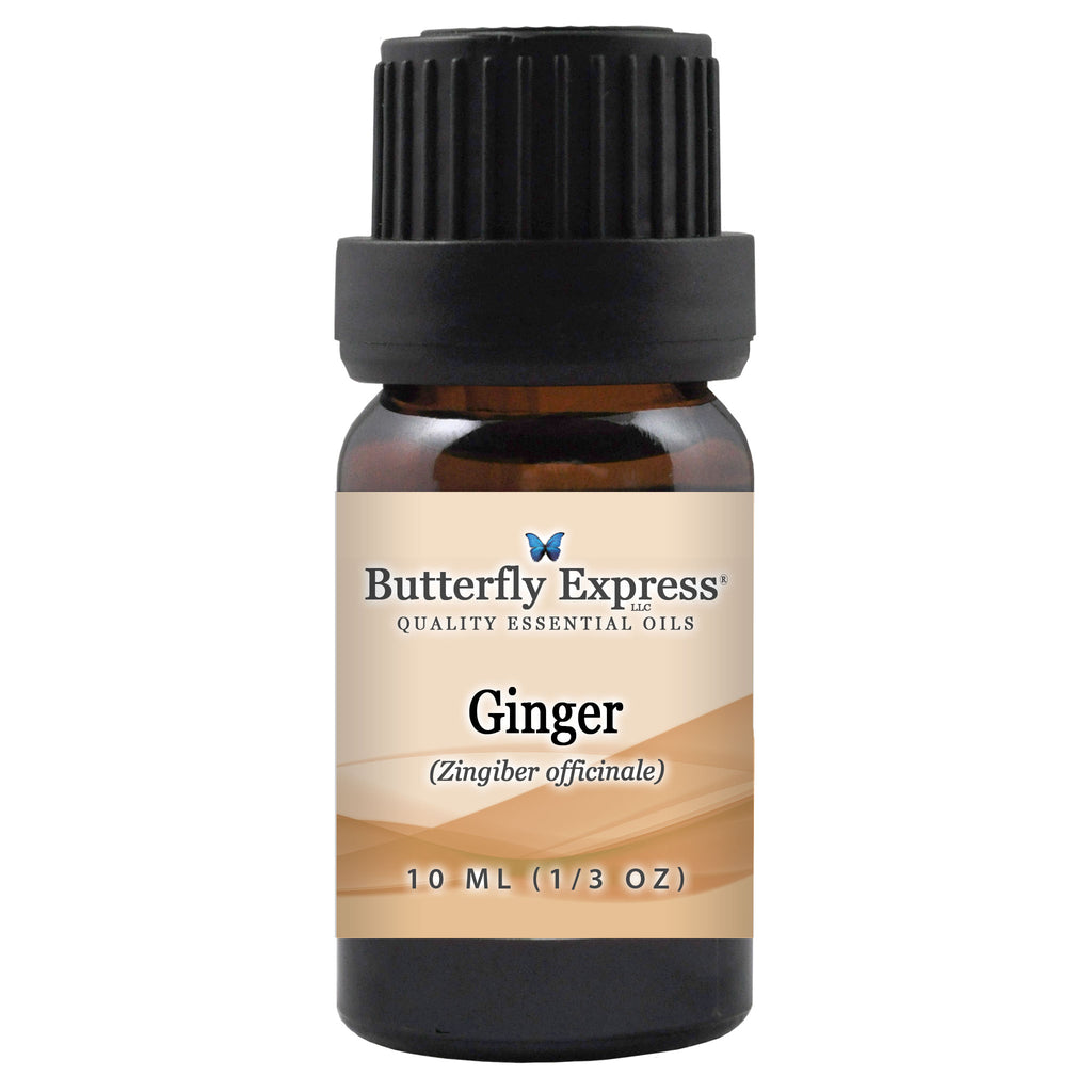 Ginger  Essential Oil  <h6>Zingiber officinale</h6>