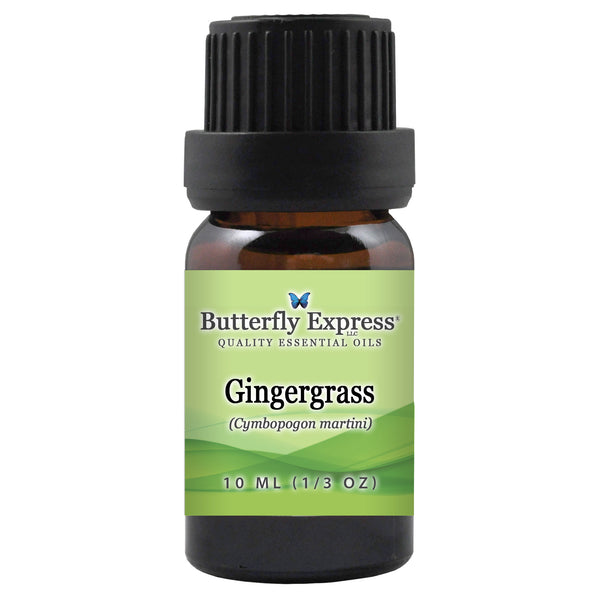 Gingergrass Essential Oil Wholesale  <h6>Cymbopogon martini</h6>