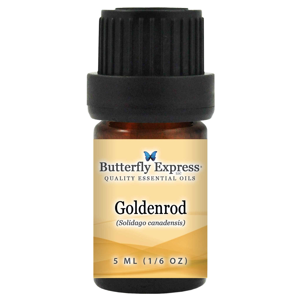 Goldenrod Essential Oil  <h6>Solidago canadensis</h6>