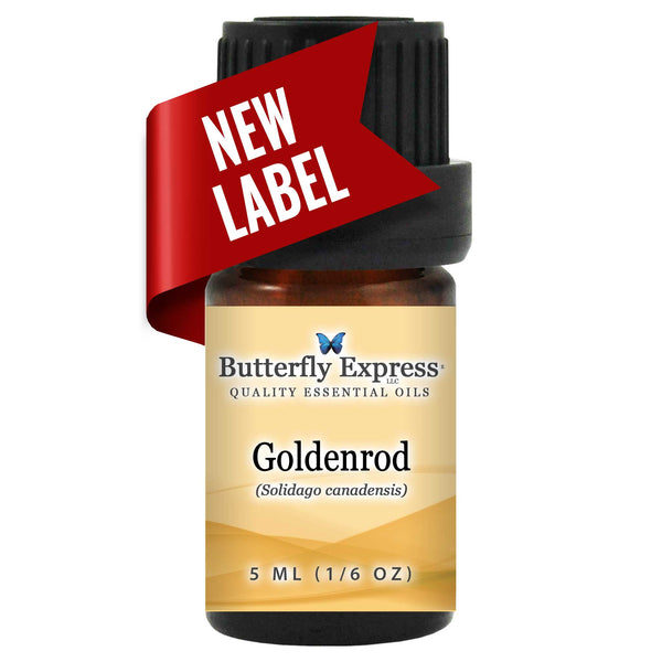 Goldenrod Essential Oil Wholesale  <h6>Solidago canadensis</h6>