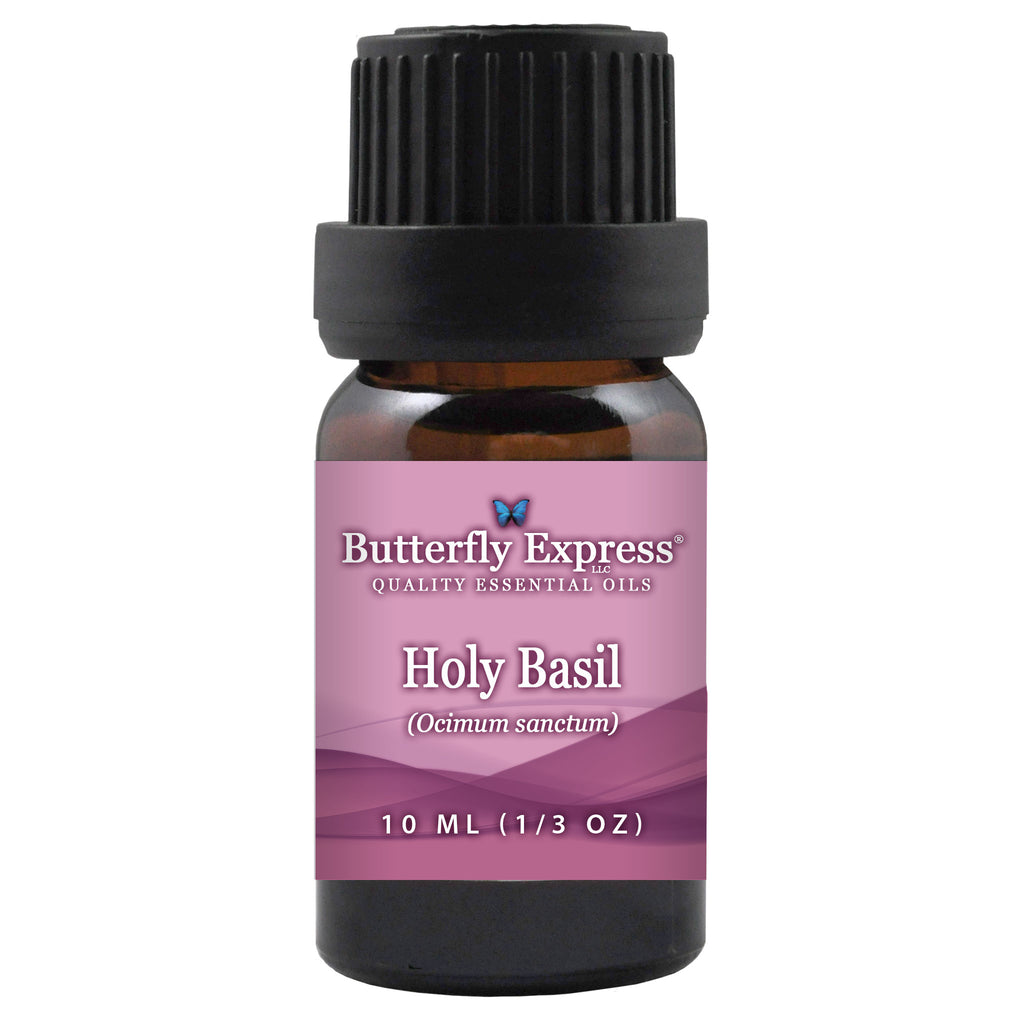 Holy Basil Essential Oil  <h6>Ocimum sanctum</h6>