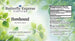 Horehound Tincture  <h6>Marrubium vulgare</h6>