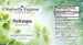 Hydrangea Tincture  <h6>Hydrangea arborescens</h6>