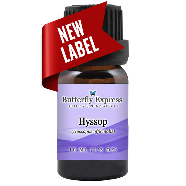 Hyssop Essential Oil Wholesale  <h6>Hyssopus officinalis</h6>