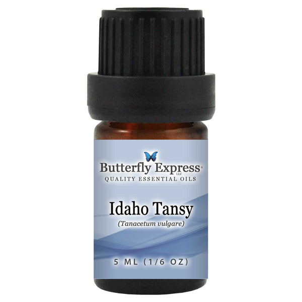 Idaho Tansy Essential Oil  <h6>Tanacetum vulgare</h6>