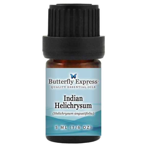 Indian Helichrysum Essential Oil  <h6>Helichrysum angustifolia</h6> Wholesale