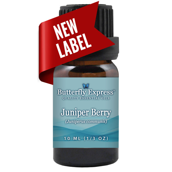 Juniper Berry Essential Oil Wholesale  <h6>Juniperus communis</h6>