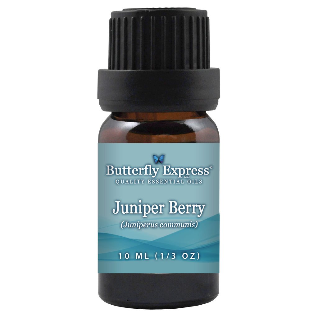 Juniper Berry Essential Oil  <h6>Juniperus communis</h6>