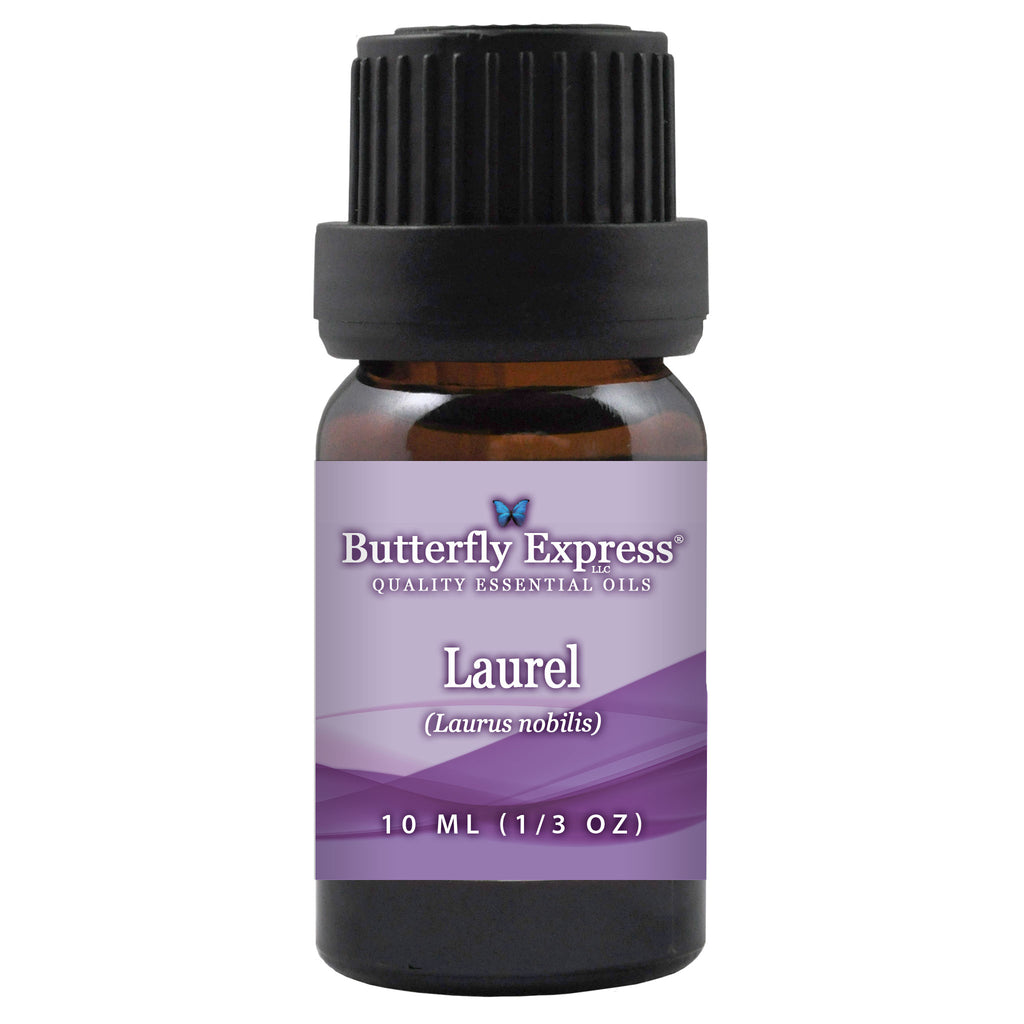 Laurel Essential Oil  <h6>Laurus nobilis</h6>