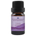 Laurel Essential Oil  <h6>Laurus nobilis</h6>