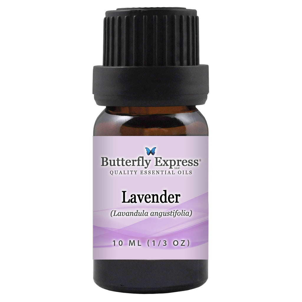 Lavender Angustifolia Essential Oil  <h6>Lavandula angustifolia</h6>