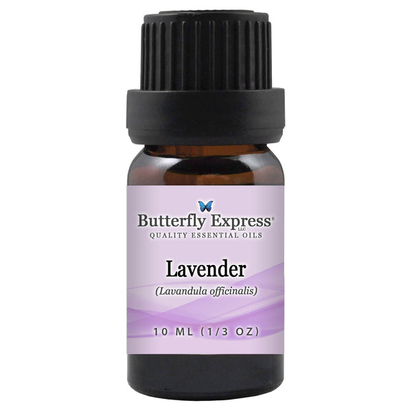 Lavender Officinalis Essential Oil  <h6>Lavandula officinalis</h6>