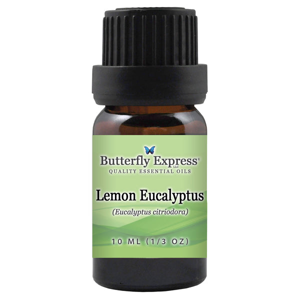 Lemon Eucalyptus Essential Oil Wholesale  <h6>Eucalyptus citriodora</h6>