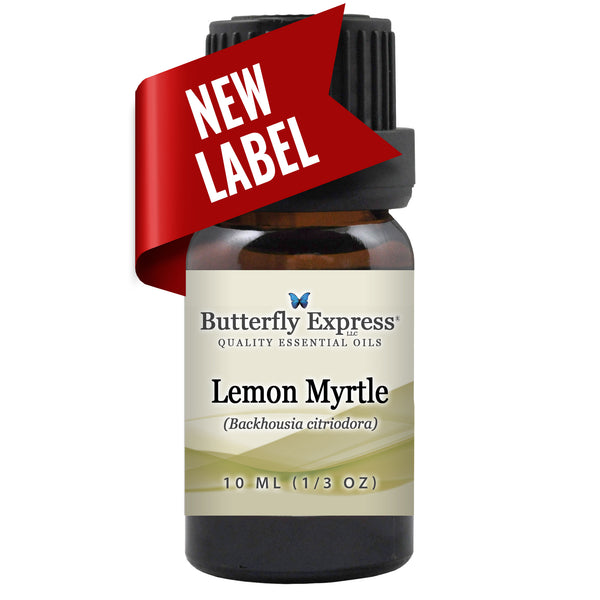 Lemon Myrtle Essential Oil Wholesale  <h6>Backhousia citriodora</h6>