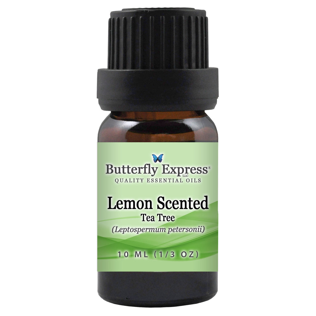 Lemon Scented Tea Tree Essential Oil  <h6>Leptospermum petersonii</h6>