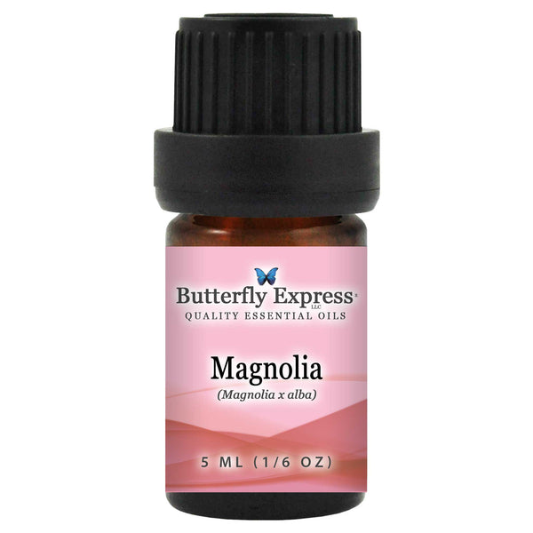 Magnolia Essential Oil Wholesale  <h6>Magnolia x alba</h6>